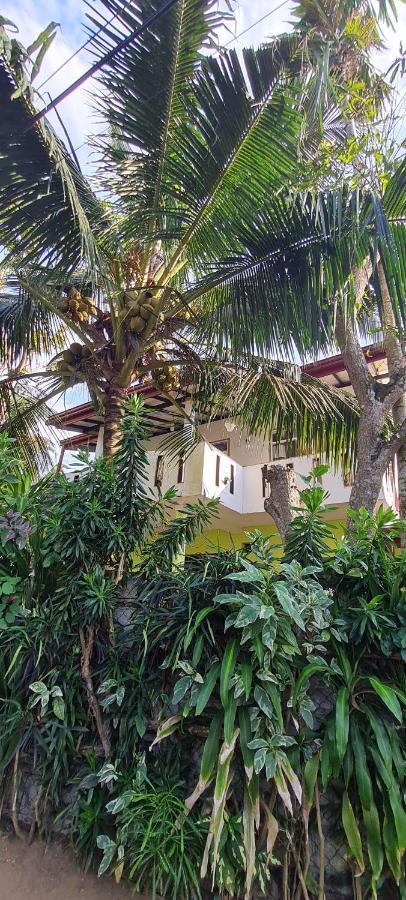 Wimala B&B Бентота Екстериор снимка